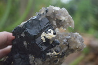 Natural Schorl Black Tourmaline Specimens With Hyalite Opal x 2 From Erongo Mountains, Namibia - TopRock