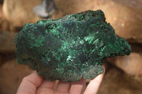 Polished  Chatoyant Silky Malachite Specimens  x 2 From Congo