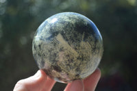 Polished Leopard Stone Spheres (Stone Sealed) x 3 From Zimbabwe - Toprock Gemstones and Minerals 