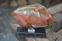 Polished Polychrome Jasper Nodules (Rough Back) x 3 From Madagascar - Toprock Gemstones and Minerals 