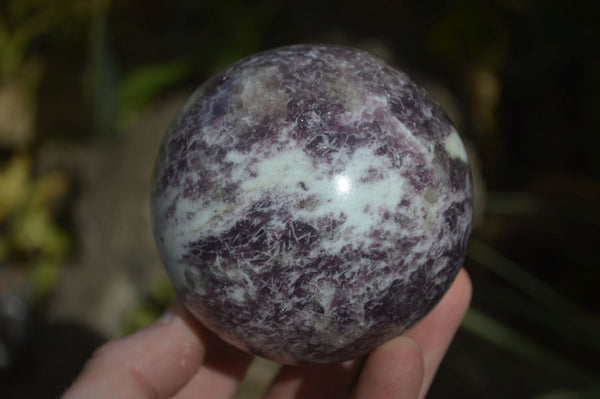 Polished Purple Lepidolite Spheres  x 3 From Madagascar