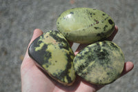 Polished Large Leopard stone Free Forms x 6 From Zimbabwe - Toprock Gemstones and Minerals 