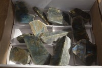 Polished  One Side Polished Labradorite Slices  x 12 From Tulear, Madagascar