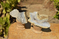 Natural Blue Lace Agate Geode Specimens  x 24 From Nsanje, Malawi - TopRock