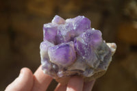 Natural Dark Amethyst Crystal Clusters x 6 From Zambia