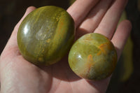 Polished Green Opal Galet / Palm Stones x 12 From Antsirabe Madagascar