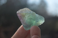 Natural Rough Watermelon Fluorite Cobbed Specimens  x 35 From Uis, Namibia