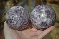 Polished Purple Lepidolite Spheres  x 3 From Madagascar