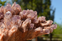 Natural Sugar Amethyst Cluster x 1 From Zambia - TopRock