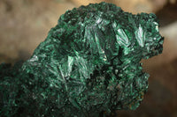 Polished  Chatoyant Silky Malachite Specimens  x 2 From Congo