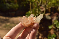 Natural Small Mixed Quartz Clusters (Mostly Intact and Semi Optic) x 35 From Mandrosonoro, Madagascar - TopRock