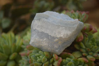 Natural Etched Blue Chalcedony Specimens  x 12 From Nsanje, Malawi