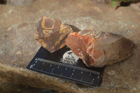 Natural Rough Nguni Jasper Cobbed Specimens  x 25 From Northern Cape, South Africa