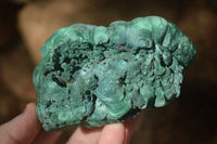 Natural Botryoidal Silky Malachite Specimens  x 5 From Congo