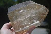 Polished Large Smokey Quartz Crystal Point  x 1 From Madagascar - TopRock