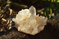 Natural Small Mixed Quartz Clusters With Nice Intact Crystals  x 35 From Madagascar - TopRock