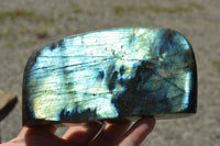 Polished Labradorite Standing Free Forms With Intense Blue & Gold Flash x 3 From Sakoany, Madagascar - TopRock