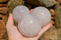 Polished Blue Tinted Rose Quartz Spheres  x 3 From Madagascar - TopRock