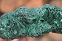 Natural Chatoyant Silky Malachite Specimens  x 3 From Kasompe, Congo