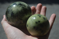 Polished Leopard Stone Spheres (Stone Sealed) x 3 From Zimbabwe - Toprock Gemstones and Minerals 