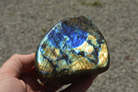 Polished Labradorite Standing Free Forms With Intense Blue & Gold Flash x 3 From Sakoany, Madagascar - TopRock