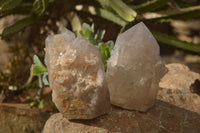 Polished Large Smokey Quartz Crystals x 2 From Angola