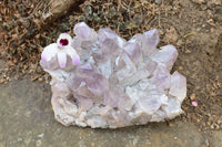 Natural Jacaranda Amethyst Crystal Plate Specimen  x 1 From Zambia - TopRock