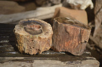 Polished  Petrified Wood Branch Pieces x 2 From Gokwe, Zimbabwe