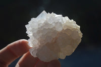 Natural White Cactus Flower Spirit Quartz Specimens  x 12 From Boekenhouthoek, South Africa - Toprock Gemstones and Minerals 