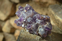 Natural Dark Amethyst Crystal Clusters x 6 From Zambia