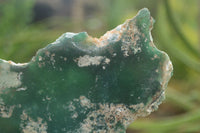 Polished Emerald Mtorolite / Chrome Chrysoprase Plates  x 2 From Mutorashanga, Zimbabwe - TopRock