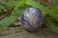 Polished Purple Lepidolite Spheres  x 3 From Madagascar