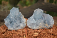 Natural Blue Celestite Crystal Specimens  x 5 From Sakoany, Madagascar - Toprock Gemstones and Minerals 