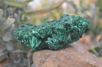 Natural Chatoyant Silky Malachite Specimens  x 3 From Kasompe, Congo