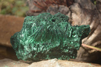 Polished  Chatoyant Silky Malachite Specimens  x 2 From Congo