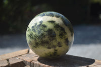 Polished Leopard Stone Spheres (Stone Sealed) x 3 From Zimbabwe - Toprock Gemstones and Minerals 