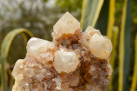 Natural Large Spirit Quartz Clusters  x 2 From Boekenhouthoek, South Africa - TopRock