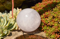 Polished Blue Tinted Rose Quartz Spheres  x 3 From Madagascar - TopRock