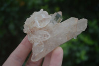 Natural Mixed Quartz Crystals & Clusters  x 16 From Zambia - TopRock