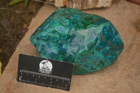 Polished Malacholla Display Piece  x 1 From Southern Africa - TopRock