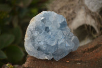 Natural Blue Celestite Crystal Specimens  x 5 From Sakoany, Madagascar - Toprock Gemstones and Minerals 