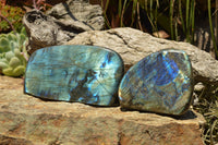 Polished Labradorite Standing Free Forms With Intense Blue & Gold Flash x 3 From Sakoany, Madagascar - TopRock