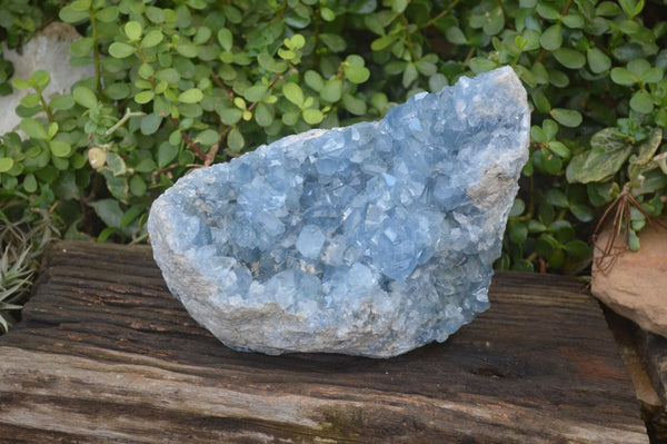 Natural Blue Celestite Geode Specimen  x 1 From Sakoany, Madagascar