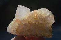 Natural White Cactus Flower Spirit Quartz Specimens  x 12 From Boekenhouthoek, South Africa - Toprock Gemstones and Minerals 