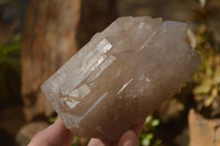 Polished Large Smokey Quartz Crystals x 2 From Angola