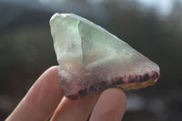 Natural Rough Watermelon Fluorite Cobbed Specimens  x 35 From Uis, Namibia