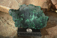 Polished  Chatoyant Silky Malachite Specimens  x 2 From Congo