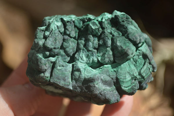 Natural Botryoidal Silky Malachite Specimens  x 5 From Congo