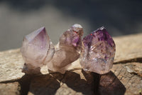 Natural Mini Window Amethyst Crystals  x 70 From Chiredzi, Zimbabwe - Toprock Gemstones and Minerals 