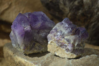 Natural Dark Amethyst Crystal Clusters x 6 From Zambia